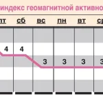 Прогноз геомагнитной активности с 13 по 19 февраля.