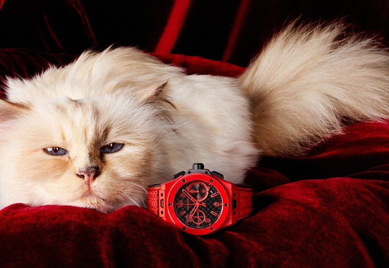 Чопуetta стала лицом рекламной кампании Hublot