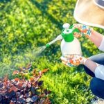 Сберечь урожай и здоровье с помощью безопасной химии.