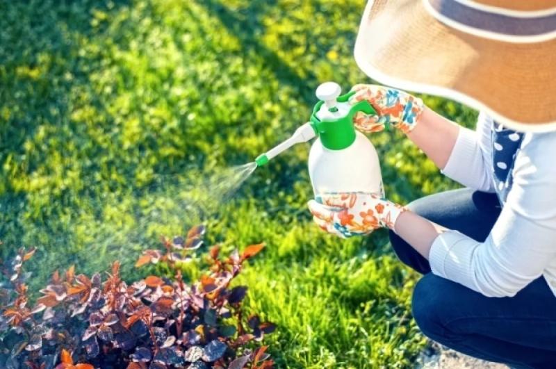 Сберечь урожай и здоровье с помощью безопасной химии.