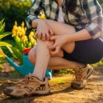 Летом – время заботы о бытовых травмах