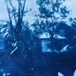 В творчестве Анастасии Безвершук – Сибирь, свет и неуловимость.