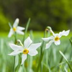 6 признаков, которые помогут распознать нарцисса