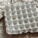 Зачем выбрасывать картонные лотки от яиц?