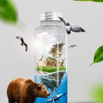 Garnier предпринимает шаги для снижения воздействия на экологию