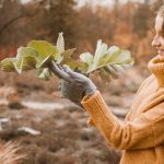 5 заблуждений об ЭКО, которые стоит развеять
