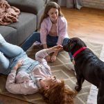 Как собаки реагируют на конфликты между хозяевами