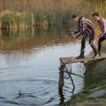 Как появилась традиция рыбного дня в СССР и почему он пришелся на четверг.