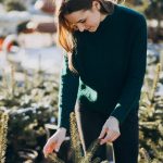 Какие растения украсят сад зимой