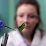 Врач Солнцева рассказала о пользе стручковой фасоли