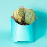 Почему в упаковке с финиками всегда есть палочки