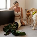 Как остановить разрушительное поведение собаки: причины и решения