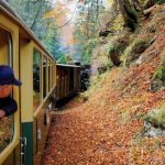 Вдохновилась идеей в поезде и сразу же попробовала ее дома