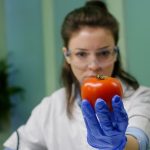 Почему стоит быть осторожным с помидорами черри: вспышка сальмонеллеза