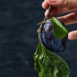 Осенняя обрезка сливы: как обеспечить богатый урожай