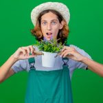 Какие еще растения подходят для выращивания на подоконнике?
