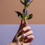 Весенний маникюр: 20 идей для домашнего нейл-арта