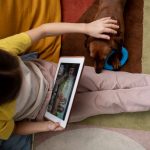 Мультфильмы — полезный инструмент для изучения иностранного языка детьми