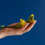 Надежда Надеждина