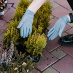 Как создать стильный дачный участок с помощью камней