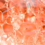 Стволовые клетки и омоложение кожи: что нас ждет в будущем