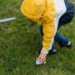 Как создать газон на даче, не требующий постоянного ухода