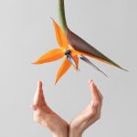 Надежда Надеждина