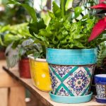 Кашпо-домики для комнатных растений: идеи декора