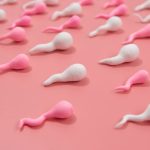 Микробиота вагины: что важно об этом знать. Отрывок из книги «Vagina Obscura. Анатомическое путешествие по женскому телу»