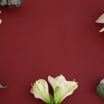 Сочетание бордо и оливкового: стильный тренд для осеннего гардероба