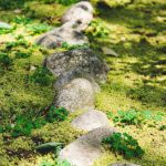 Как создать бетонный фонтан: украшаем сад оригинальным декором