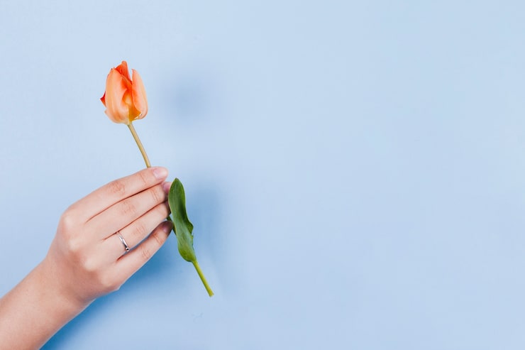 Надежда Надеждина