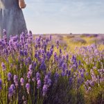 Ароматы лета: цветы и травы