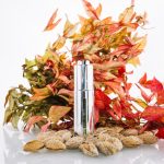 Лучшие бьюти-новинки этой осени: от спрея с настурцией до лаков в осенней гамме