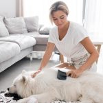 Как очистить диван от шерсти: простые способы