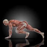 Топ-7 упражнений на разные группы мышц. Инфографика