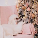 Судно в персиковом пухе